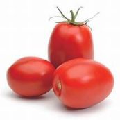 Tomato Oval Determinate