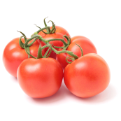 طماطم دائرية محمية